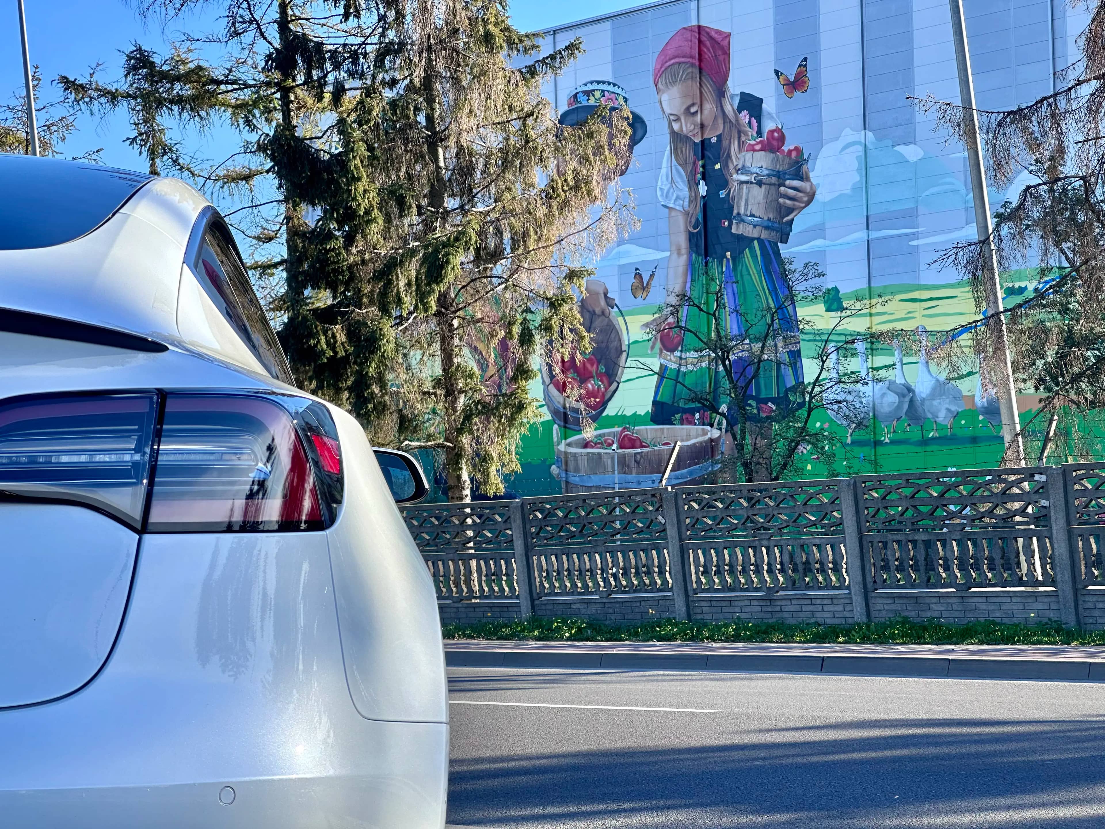 Tesla Model 3 w dynamicznej scenerii